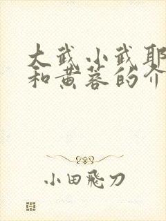 大武小武耶律齐和黄蓉的介绍