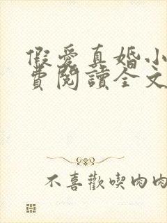 假爱真婚小说免费阅读全文