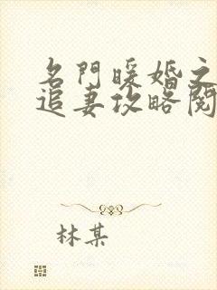 名门暖婚之权爷追妻攻略阅读