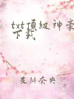 txt顶级神豪下载