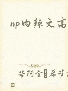 np肉辣文高h