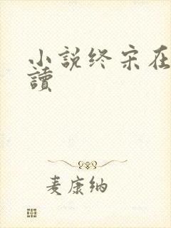 小说终宋在线阅读
