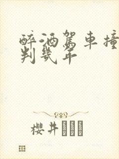 醉酒驾车撞死人判几年