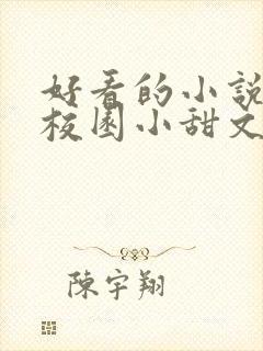 好看的小说言情校园小甜文 好看的小说言情校园小甜文