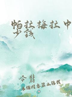 帕拉梅拉中配多少钱