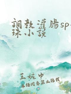 调教灌肠sp拉珠小说
