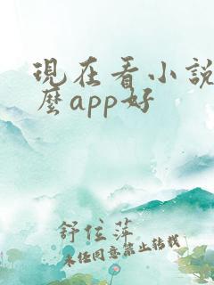 现在看小说用什么app好 现在看小说用什么app好