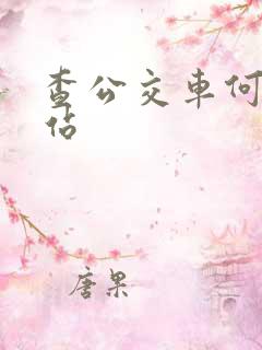 查公交车何时到站