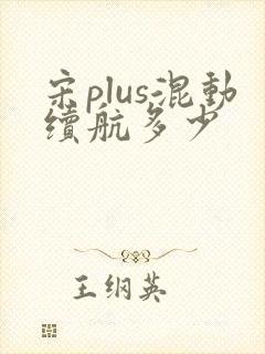 宋plus混动续航多少