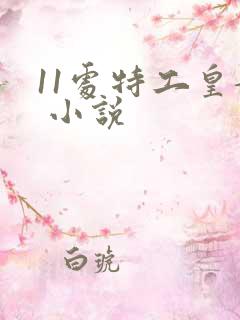 11处特工皇妃 小说