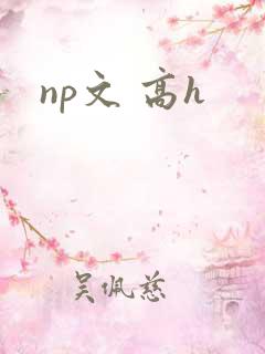 np文 高h