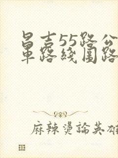 昌吉55路公交车路线图路
