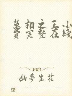 万相之王小说免费完整在线阅读