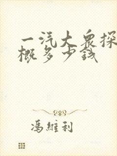 一汽大众探岳大概多少钱