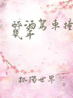 醉酒驾车撞人判几年