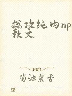 总攻纯肉np调教文