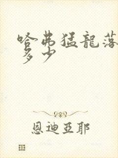 哈弗猛龙落地价多少