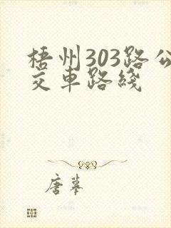 梧州303路公交车路线