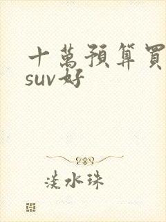 十万预算买什么suv好