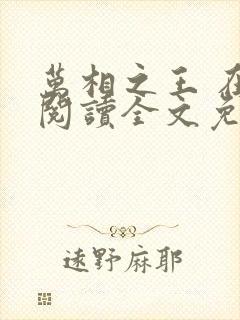 万相之王 在线阅读全文免费