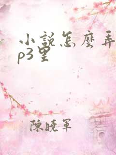 小说怎么弄到mp3里