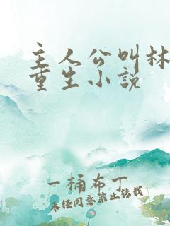 主人公叫林尘的重生小说