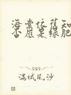 海棠依旧知否知否应是绿肥红瘦是什么歌