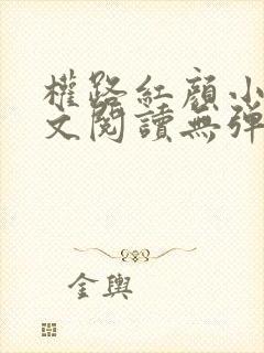 权路红颜小说全文阅读无弹窗