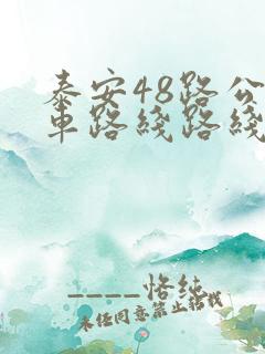 泰安48路公交车路线路线图