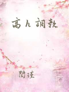 高 h 调教