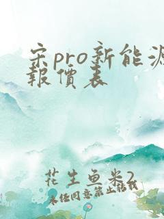 宋pro新能源报价表