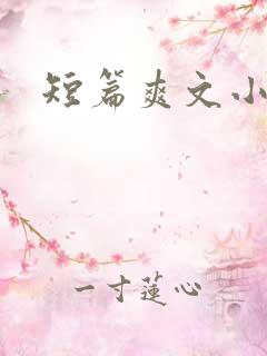 短篇爽文小说