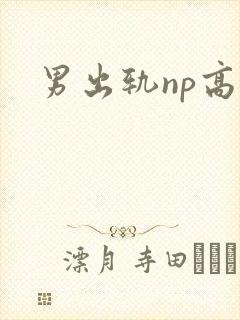 男出轨np高h