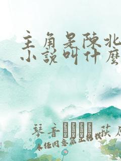 主角是陈北玄的小说叫什么