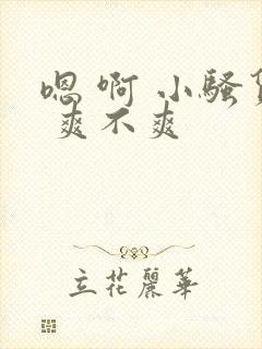 嗯 啊 小骚货 爽不爽