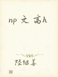 np 文 高h