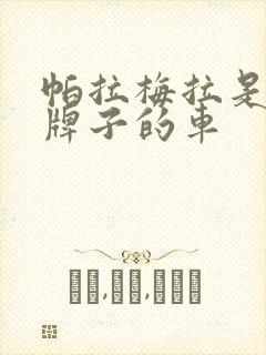 帕拉梅拉是哪个牌子的车