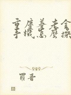 重庆养老金年审手机怎么操作
