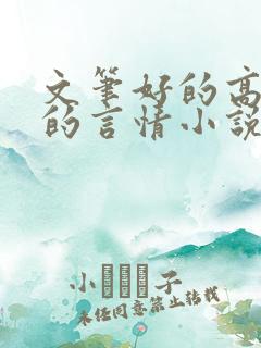 文笔好的高质量的言情小说推荐