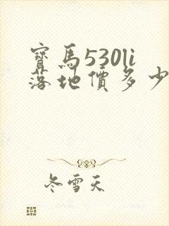 宝马530li落地价多少