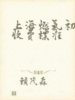 上海燃气初装费收费标准