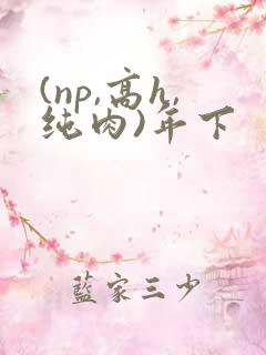 (np,高h,纯肉)年下 (np,高h,纯肉)年下