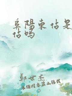 阜阳东站是火车站吗 阜阳东站是火车站吗