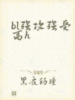 bl强攻强受 高h