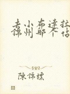 去小布达拉宫在锦州哪个站