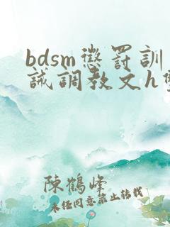 bdsm惩罚训诫调教文h双性
