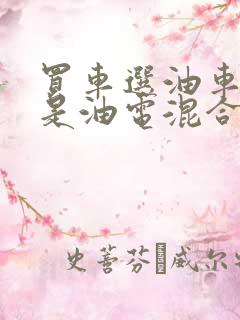 买车选油车好还是油电混合的好
