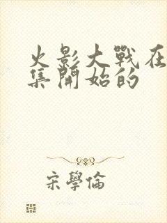 火影大战在第几集开始的