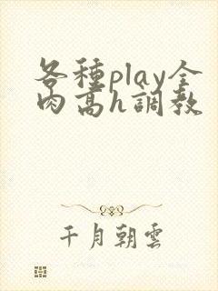 各种play全肉高h调教