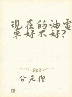 现在的油电混合车好不好?